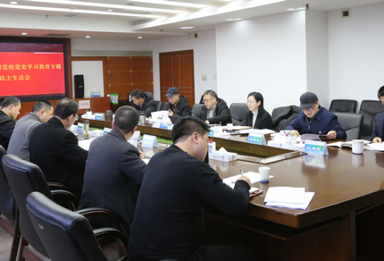 澧水公司黨組召開黨史學習教育專題民主生活會