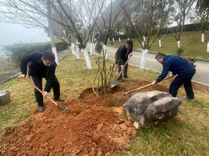 徐磊到皂市電站參加義務(wù)植樹活動