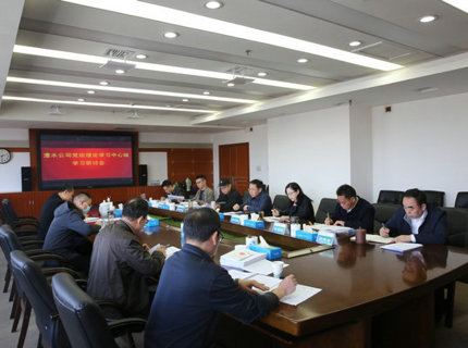 公司黨組理論學(xué)習(xí)中心組學(xué)習(xí)貫徹全國“兩會(huì)”精神