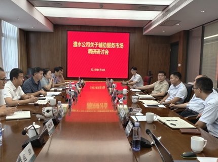 公司領(lǐng)導(dǎo)帶隊赴湖南省電力科學研究院開展電力調(diào)頻輔助服務(wù)調(diào)研